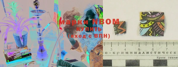 шишки Бугульма