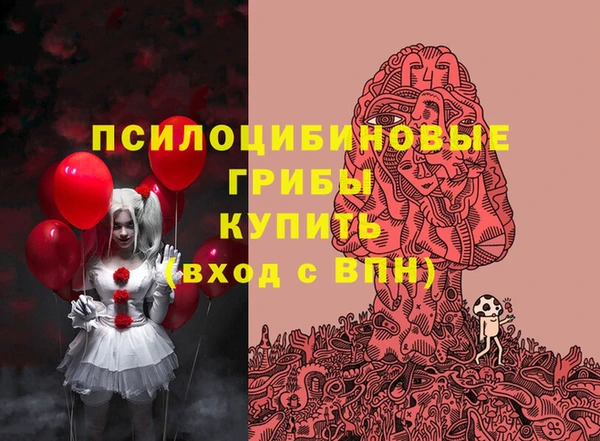 круглые Бронницы